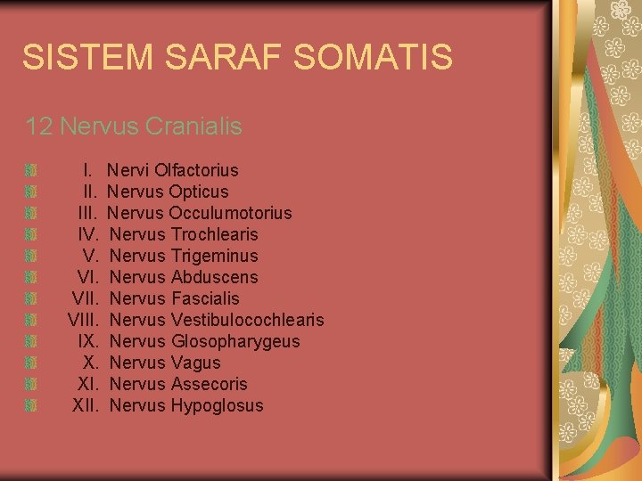 SISTEM SARAF SOMATIS 12 Nervus Cranialis I. III. IV. V. VIII. IX. X. XII.