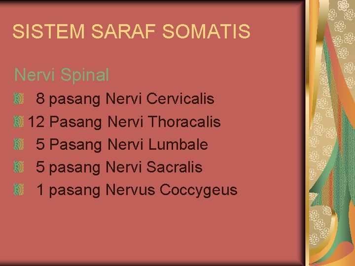 SISTEM SARAF SOMATIS Nervi Spinal 8 pasang Nervi Cervicalis 12 Pasang Nervi Thoracalis 5