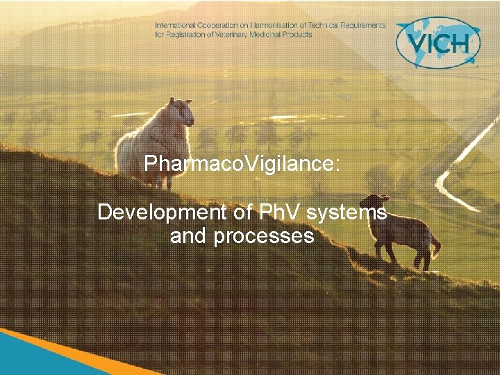 Pharmaco. Vigilance: Development of Ph. V systems and processes 