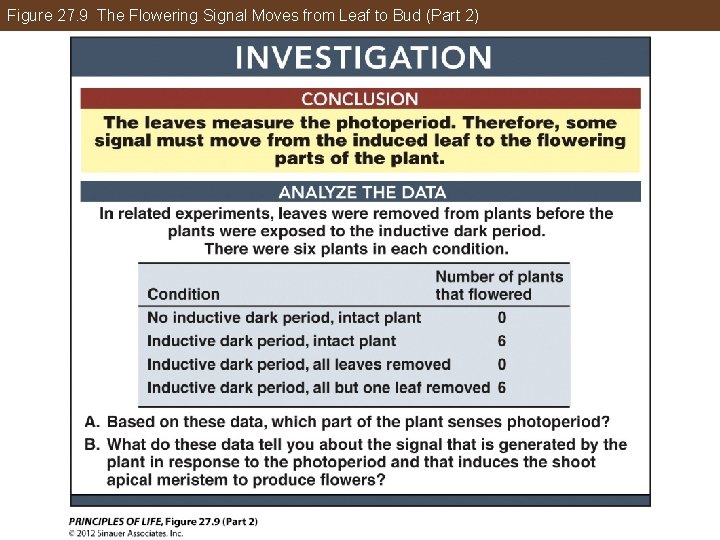 Figure 27. 9 The Flowering Signal Moves from Leaf to Bud (Part 2) 