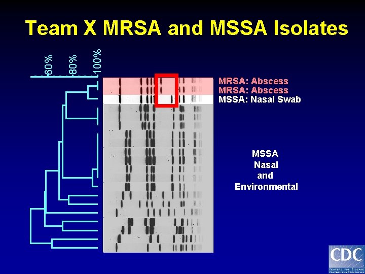 100% 80% 60% Team X MRSA and MSSA Isolates MRSA: Abscess MSSA: Nasal Swab