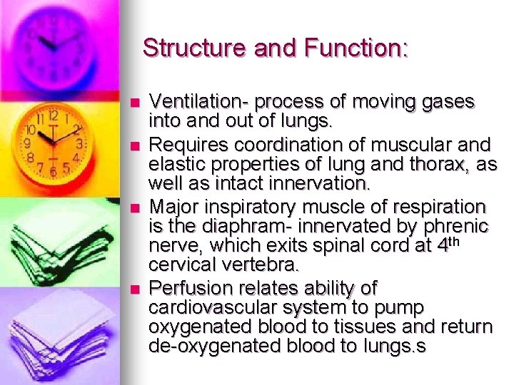 Structure and Function: n n Ventilation- process of moving gases into and out of