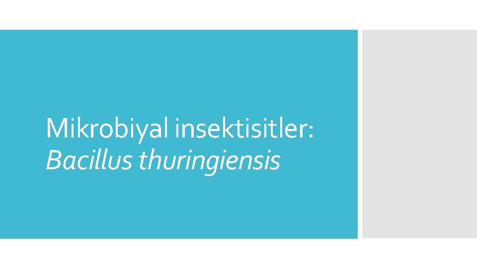 Mikrobiyal insektisitler: Bacillus thuringiensis 