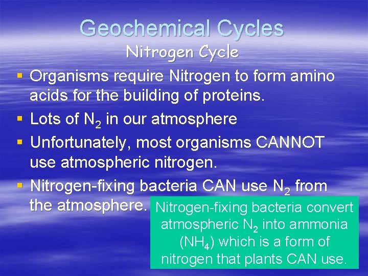 Geochemical Cycles § § Nitrogen Cycle Organisms require Nitrogen to form amino acids for