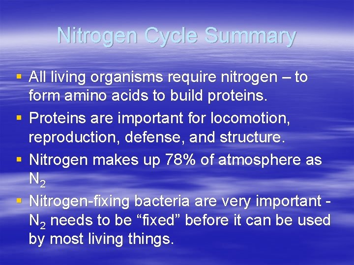 Nitrogen Cycle Summary § All living organisms require nitrogen – to form amino acids