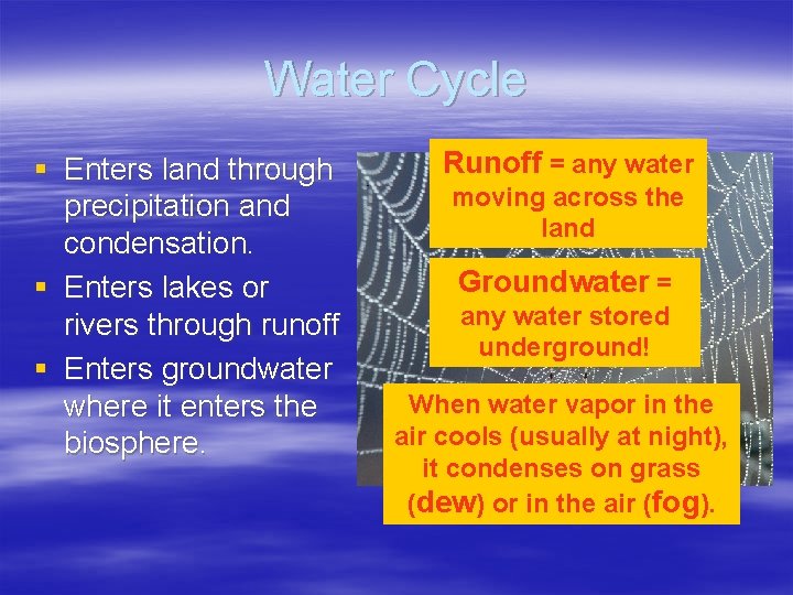 Water Cycle § Enters land through precipitation and condensation. § Enters lakes or rivers