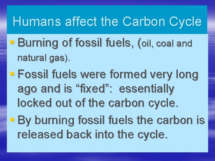 Humans affect the Carbon Cycle § Burning of fossil fuels, (oil, coal and natural