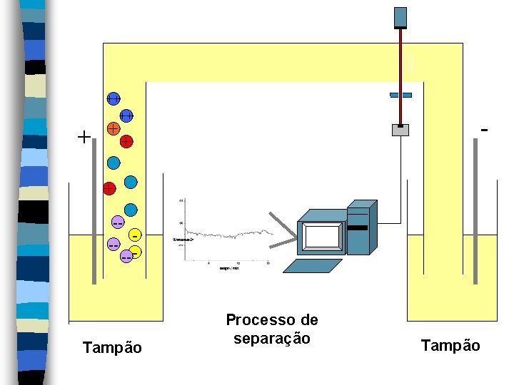 + ++ ++ + --- -- - Tampão Processo de separação Tampão 