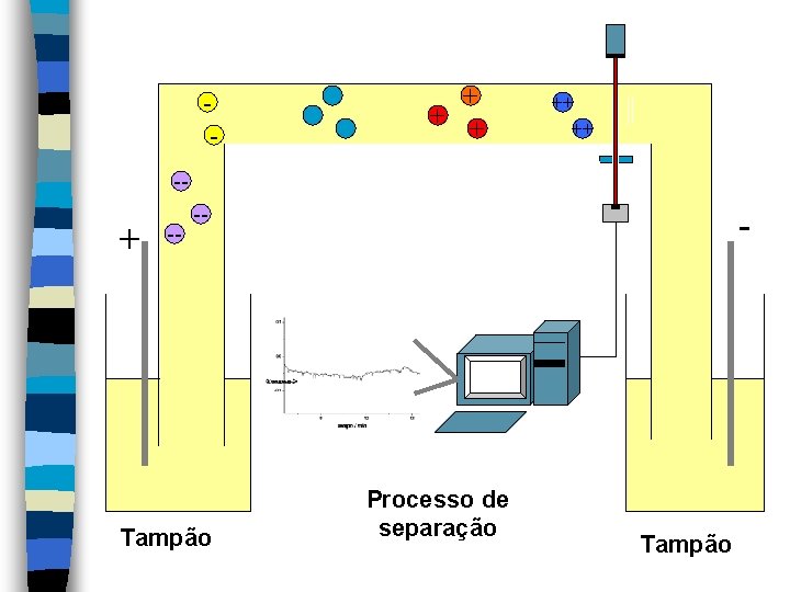 - + ++ ++ -- -- Tampão - Processo de separação Tampão 