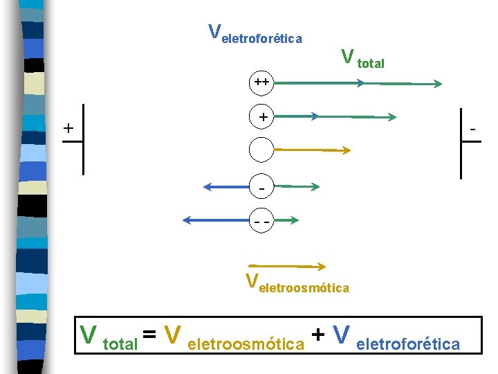 Veletroforética V total ++ + + -- Veletroosmótica V total = V eletroosmótica +