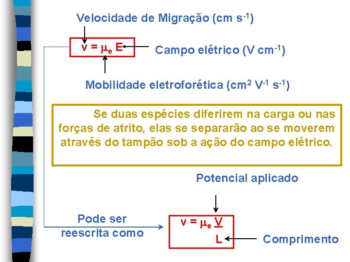 Velocidade de Migração (cm s-1) v = e E Campo elétrico (V cm-1) Mobilidade