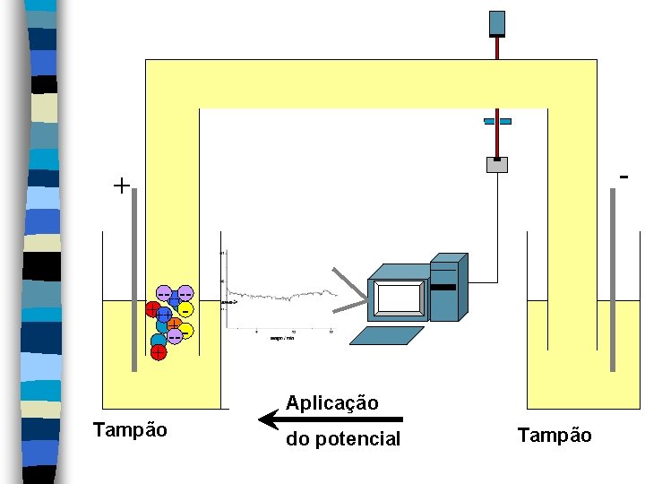 - + --++-- +++ + -- + Aplicação Tampão do potencial Tampão 