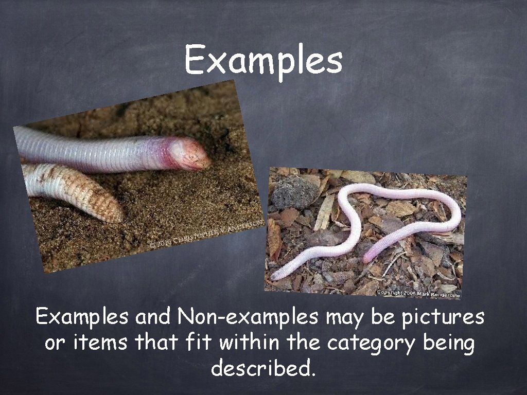 Examples and Non-examples may be pictures or items that fit within the category being