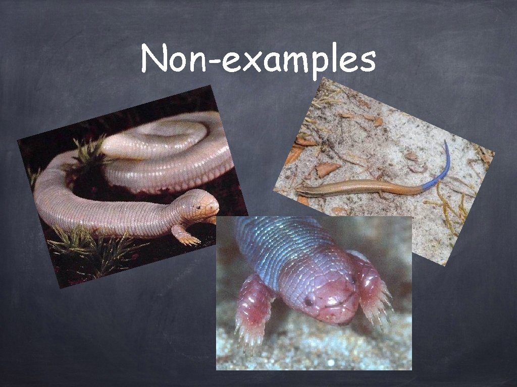 Non-examples 