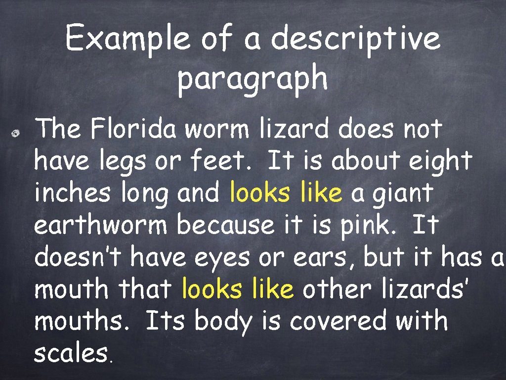 Example of a descriptive paragraph The Florida worm lizard does not have legs or