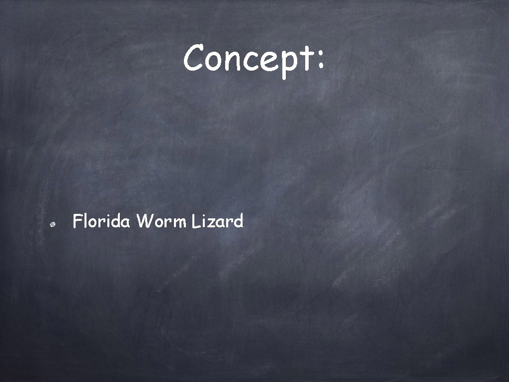 Concept: Florida Worm Lizard 