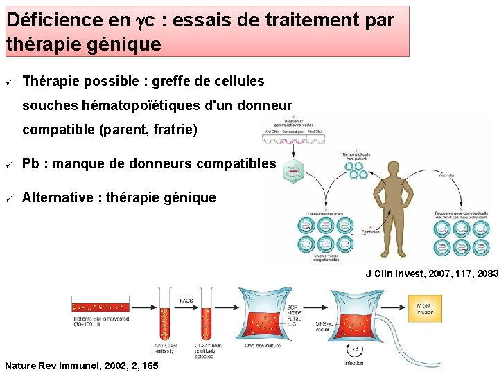 Déficience en gc : essais de traitement par thérapie génique Thérapie possible : greffe