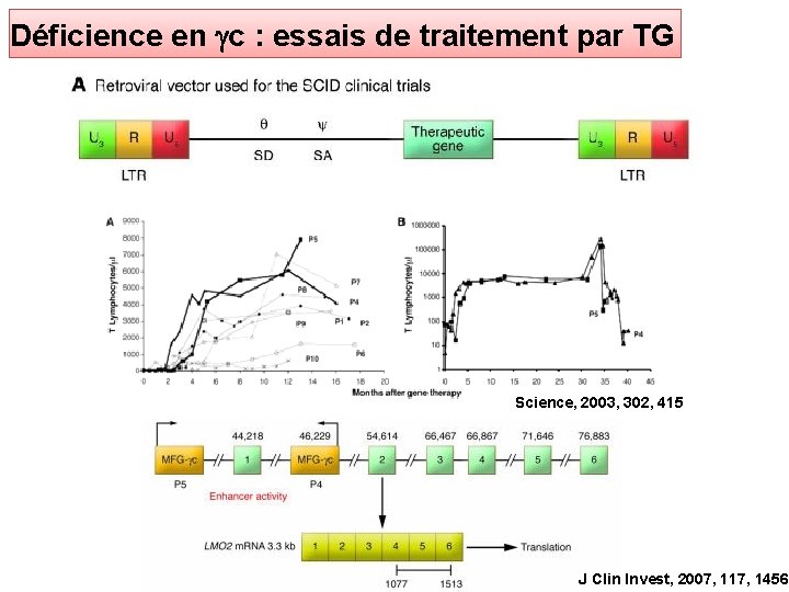Déficience en gc : essais de traitement par TG Science, 2003, 302, 415 J
