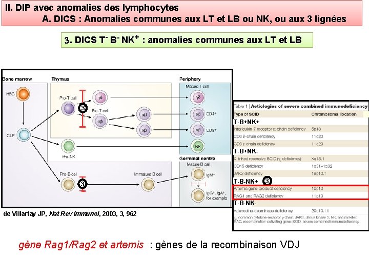 II. DIP avec anomalies des lymphocytes A. DICS : Anomalies communes aux LT et