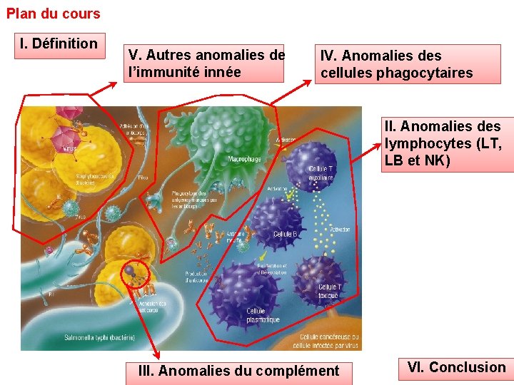 Plan du cours I. Définition V. Autres anomalies de l’immunité innée IV. Anomalies des