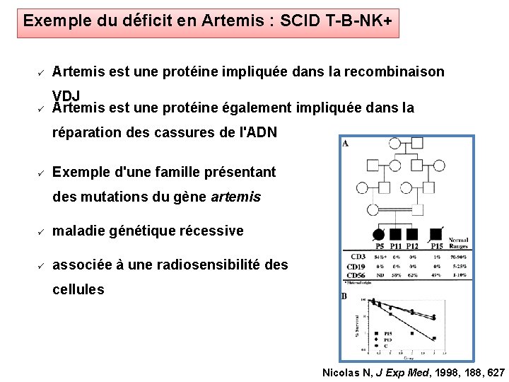Exemple du déficit en Artemis : SCID T-B-NK+ Artemis est une protéine impliquée dans