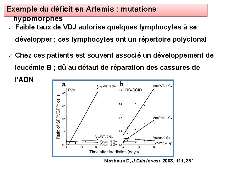 Exemple du déficit en Artemis : mutations hypomorphes Faible taux de VDJ autorise quelques