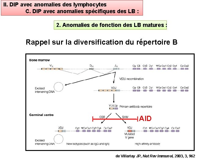 II. DIP avec anomalies des lymphocytes C. DIP avec anomalies spécifiques des LB :