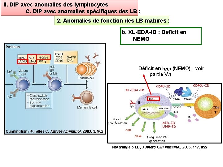 II. DIP avec anomalies des lymphocytes C. DIP avec anomalies spécifiques des LB :