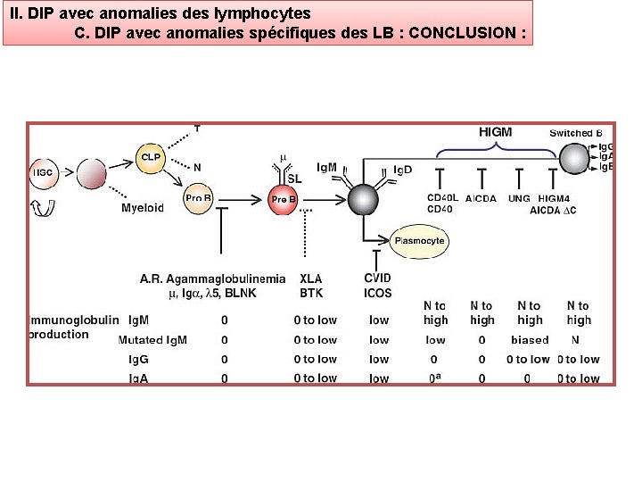 II. DIP avec anomalies des lymphocytes C. DIP avec anomalies spécifiques des LB :