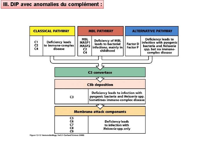 III. DIP avec anomalies du complément : 