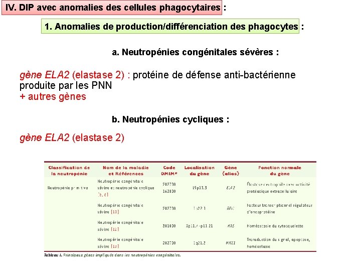 IV. DIP avec anomalies des cellules phagocytaires : 1. Anomalies de production/différenciation des phagocytes
