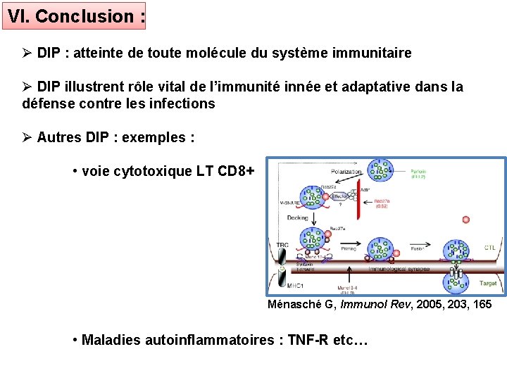 VI. Conclusion : DIP : atteinte de toute molécule du système immunitaire DIP illustrent