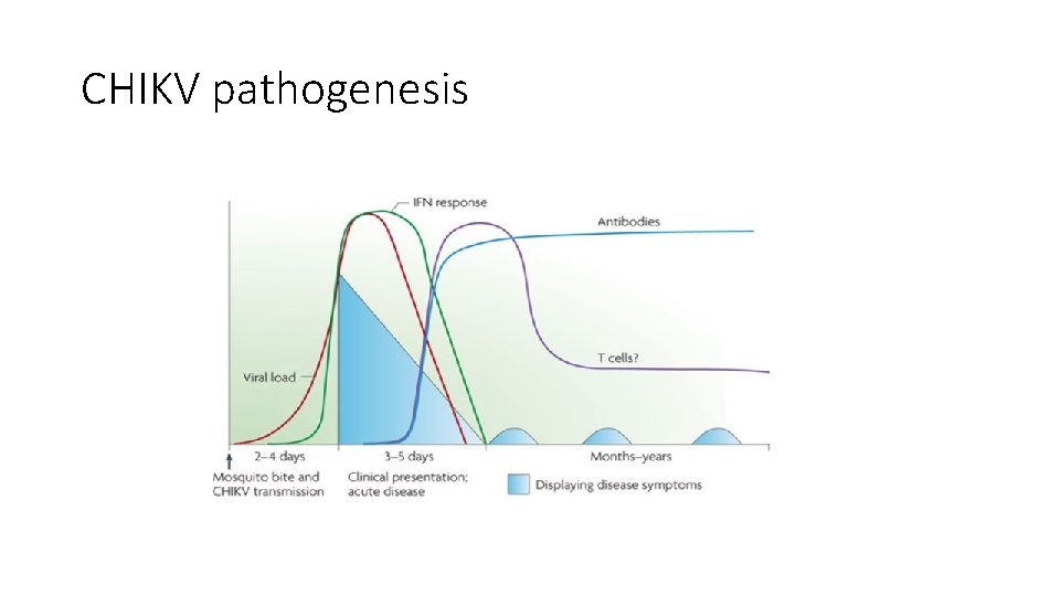 CHIKV pathogenesis 