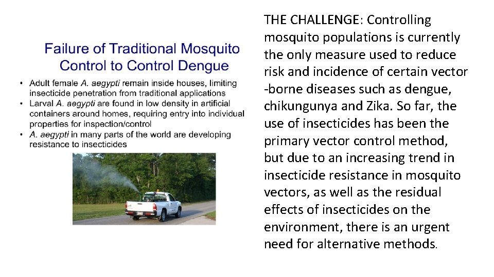 THE CHALLENGE: Controlling mosquito populations is currently the only measure used to reduce risk