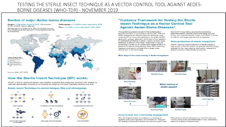 TESTING THE STERILE INSECT TECHNIQUE AS A VECTOR CONTROL TOOL AGAINST AEDESBORNE DISEASES (WHO-TDR)