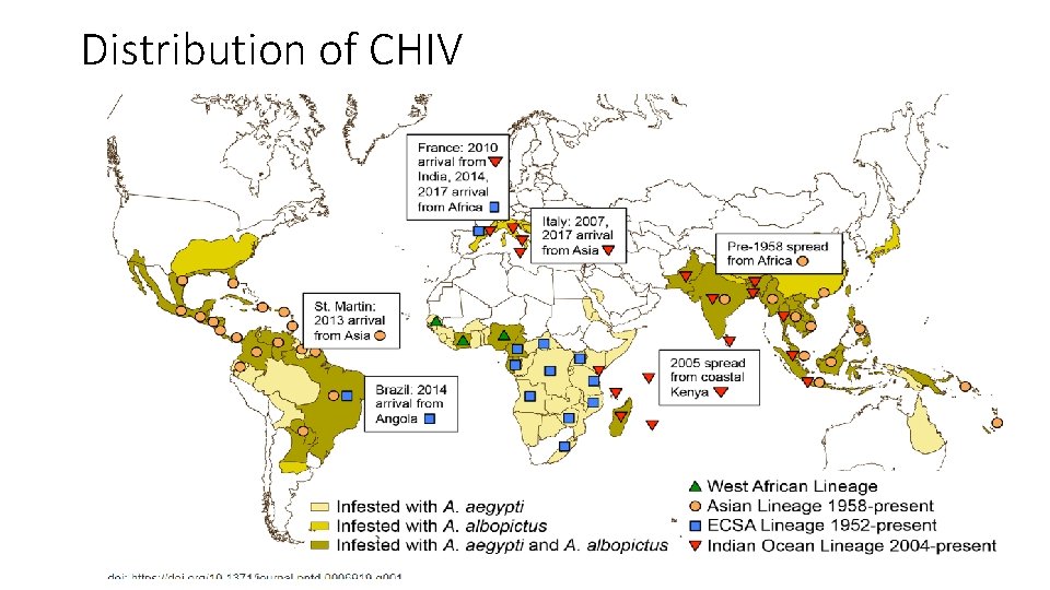 Distribution of CHIV 