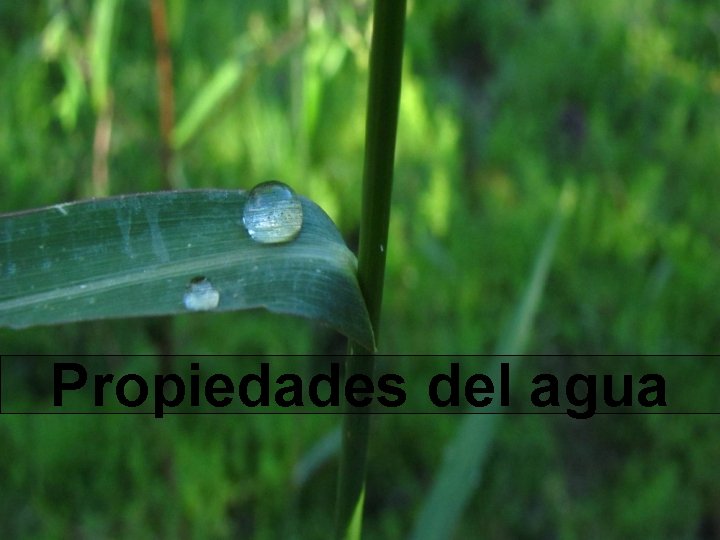 Propiedades del agua 