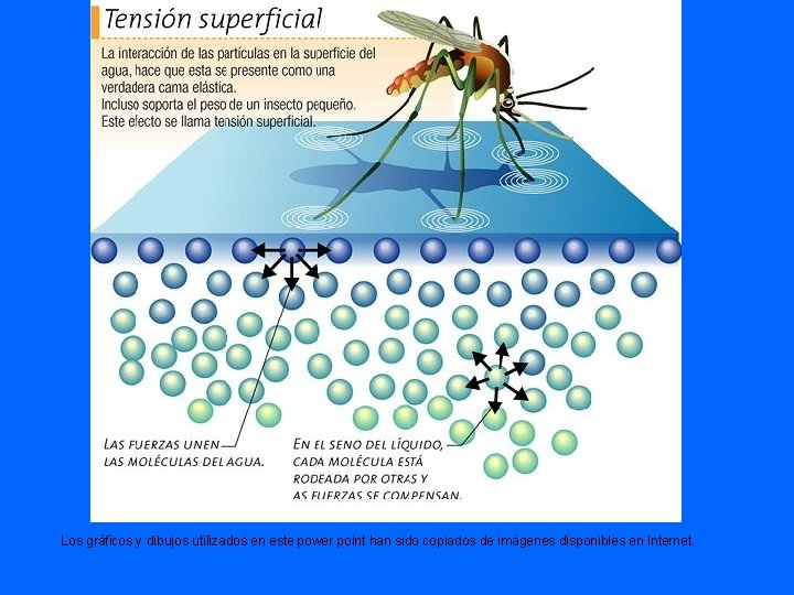 Los gráficos y dibujos utilizados en este power point han sido copiados de imágenes