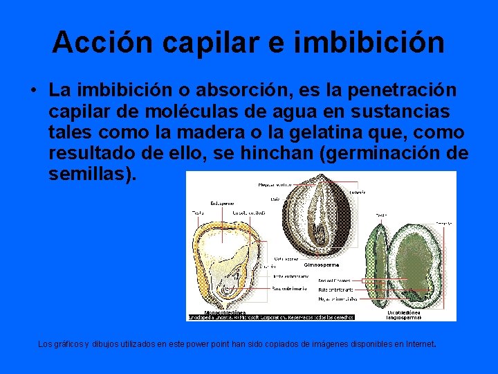 Acción capilar e imbibición • La imbibición o absorción, es la penetración capilar de