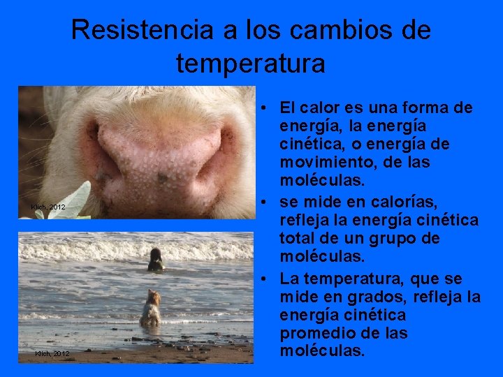 Resistencia a los cambios de temperatura Klich, 2012 • El calor es una forma