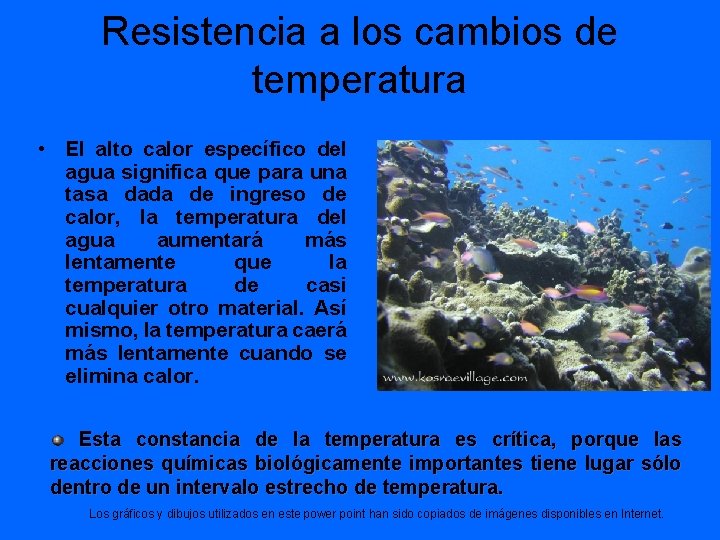 Resistencia a los cambios de temperatura • El alto calor específico del agua significa