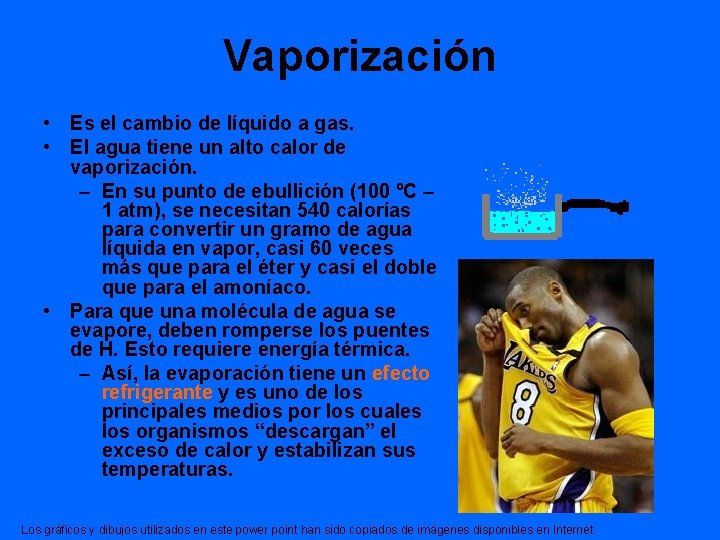 Vaporización • Es el cambio de líquido a gas. • El agua tiene un