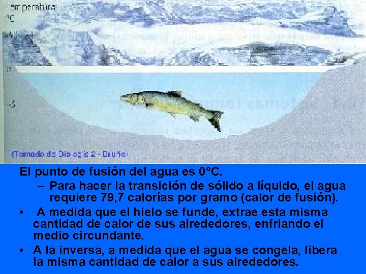 El punto de fusión del agua es 0°C. – Para hacer la transición de