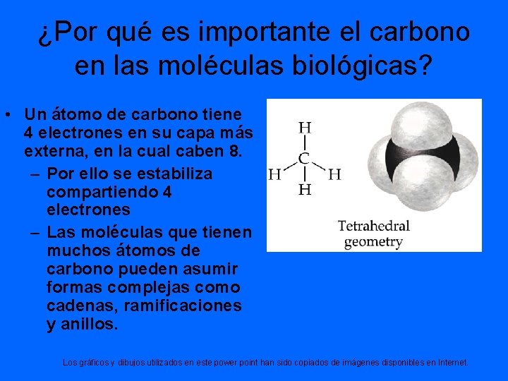 ¿Por qué es importante el carbono en las moléculas biológicas? • Un átomo de