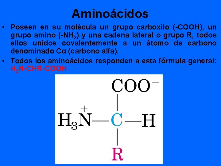 Aminoácidos • Poseen en su molécula un grupo carboxilo (-COOH), un grupo amino (-NH