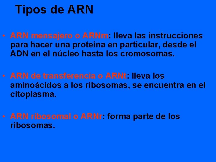 Tipos de ARN • ARN mensajero o ARNm: lleva las instrucciones para hacer una