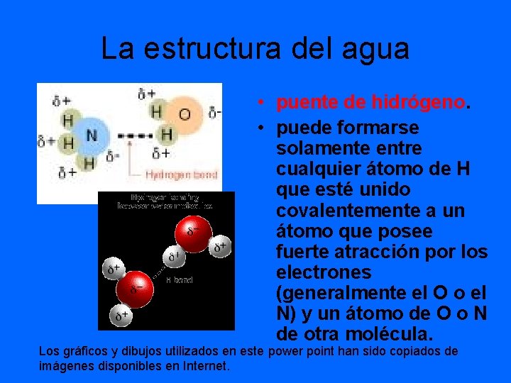 La estructura del agua • puente de hidrógeno. • puede formarse solamente entre cualquier