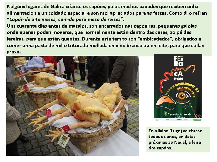 Nalgúns lugares de Galiza críanse os capóns, polos machos capados que reciben unha alimentación