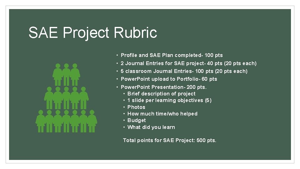SAE Project Rubric • • • Profile and SAE Plan completed- 100 pts 2 SAE Project Rubric • • • Profile and SAE Plan completed- 100 pts 2