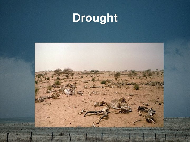 Drought 